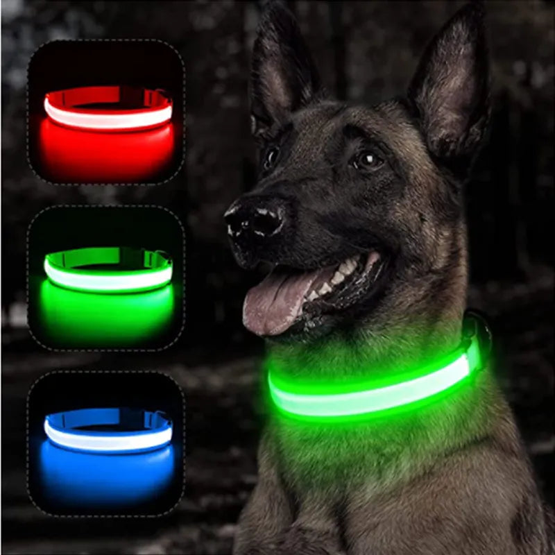 Coleira de cachorro com luz LED