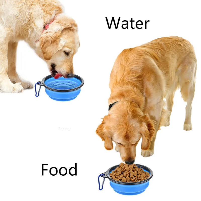 Tigela de água para cães